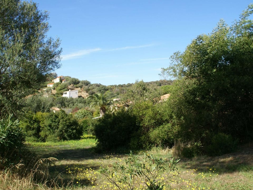 Immediate Surroundings [summer] (<1 km)