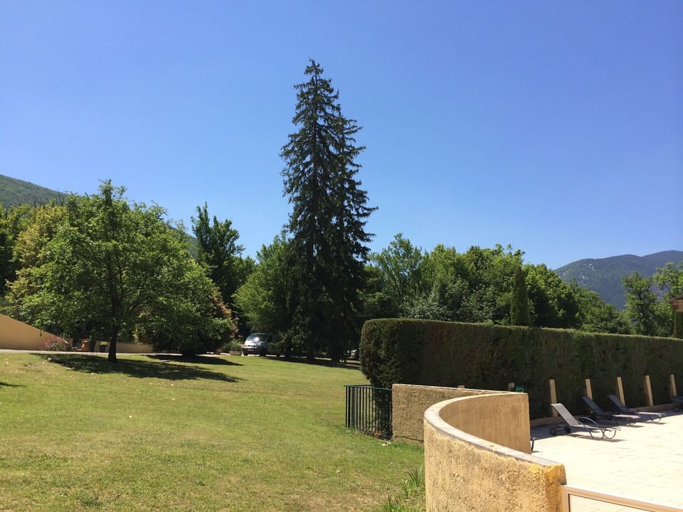 Garden [summer]