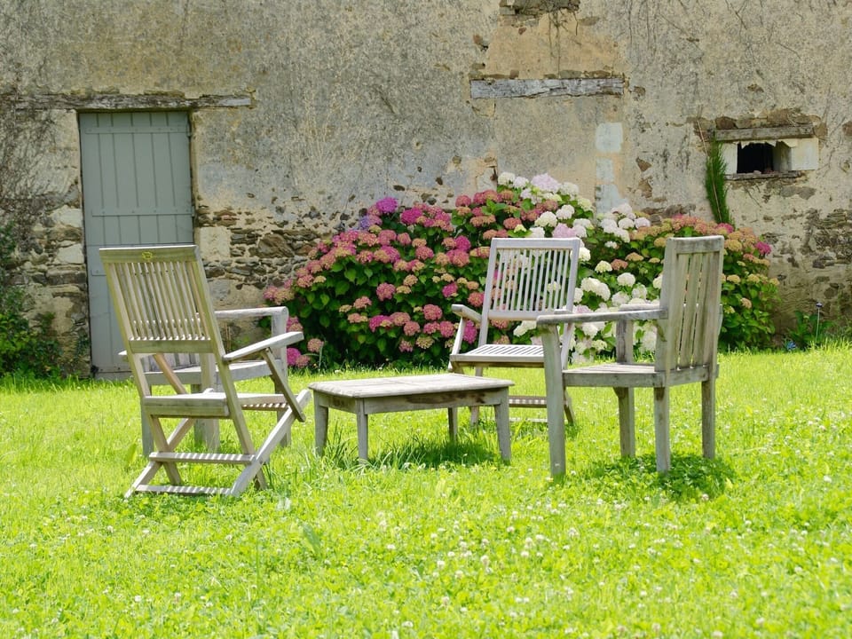Garden [summer]