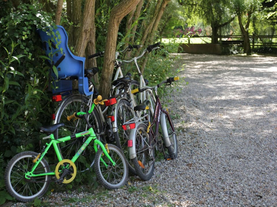 Holiday Park Facilities and Services 