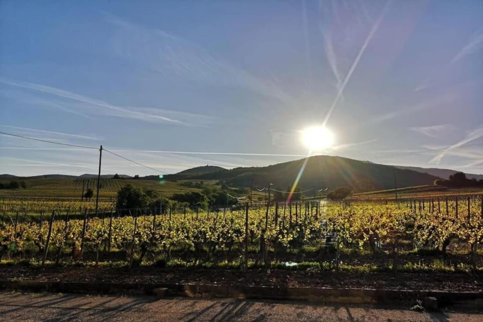 Surroundings [summer] (1-5 km)