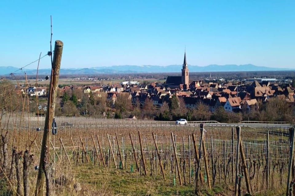 Surroundings [summer] (1-5 km)