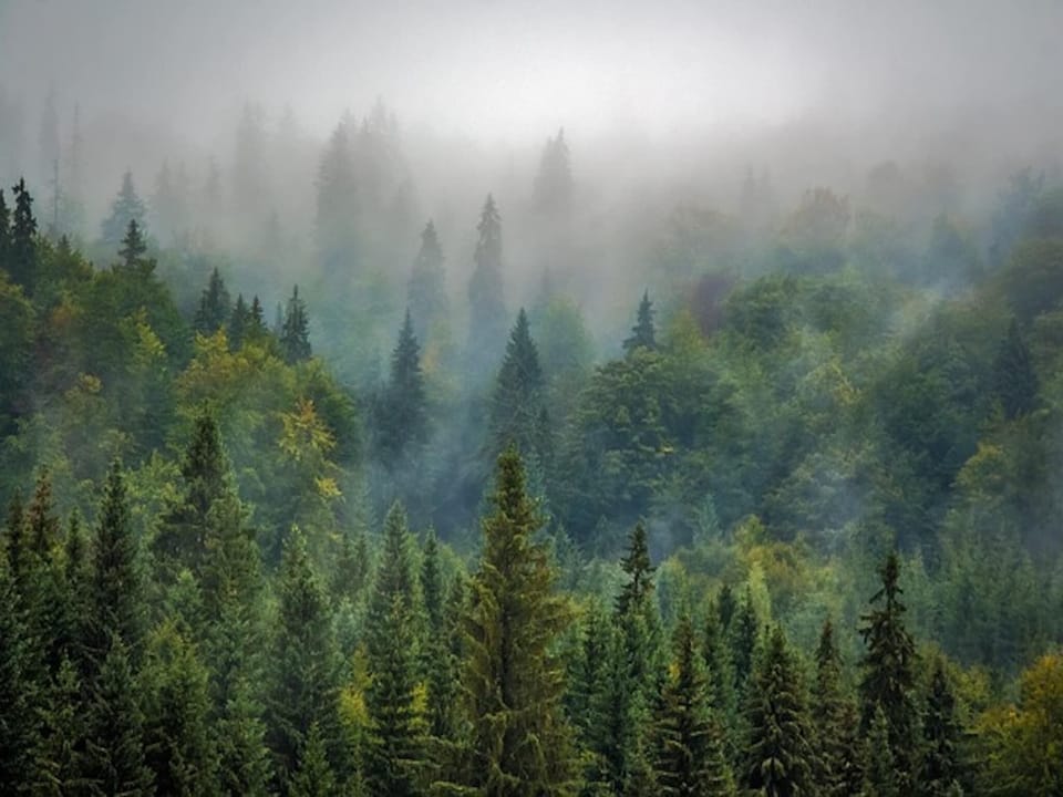 Surroundings [summer] (1-5 km)