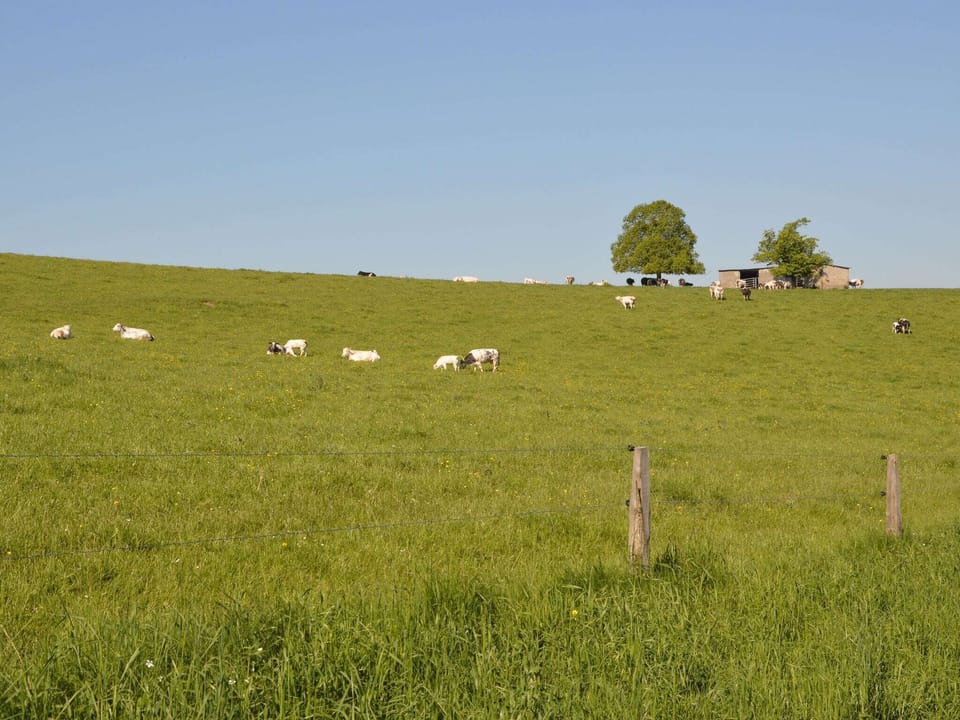 Surroundings [summer] (1-5 km)