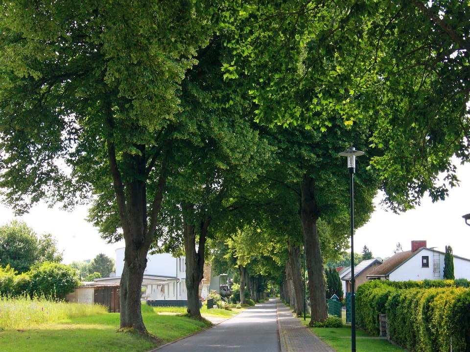Immediate Surroundings [summer] (<1 km)
