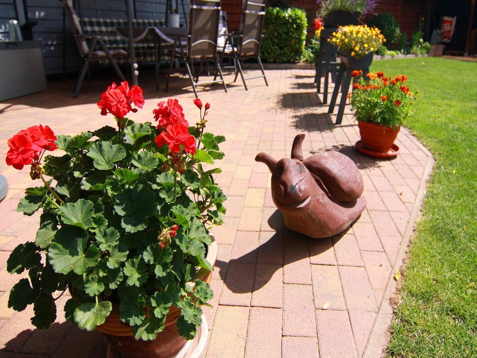 Garden [summer]