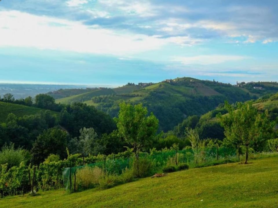 Region [summer] (>5 km)