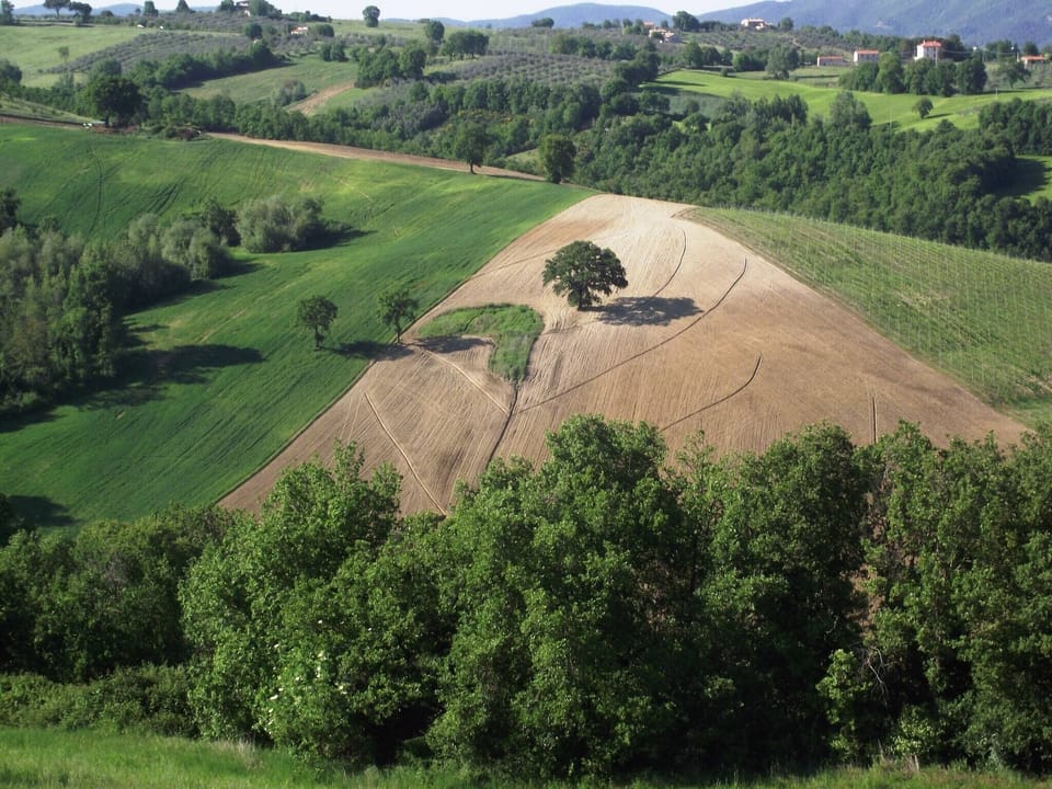 Immediate Surroundings [summer] (<1 km)
