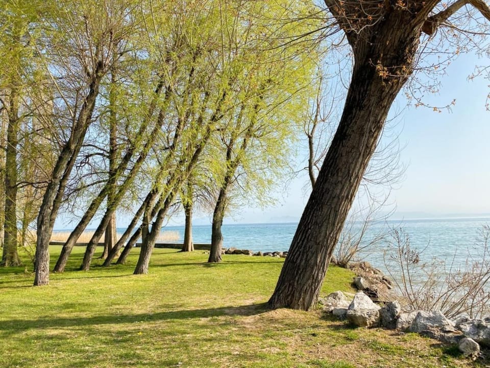 Surroundings [summer] (1-5 km)