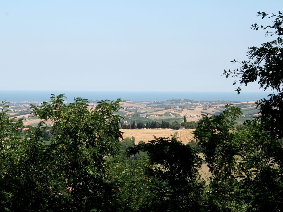 View from Holiday Home [summer]