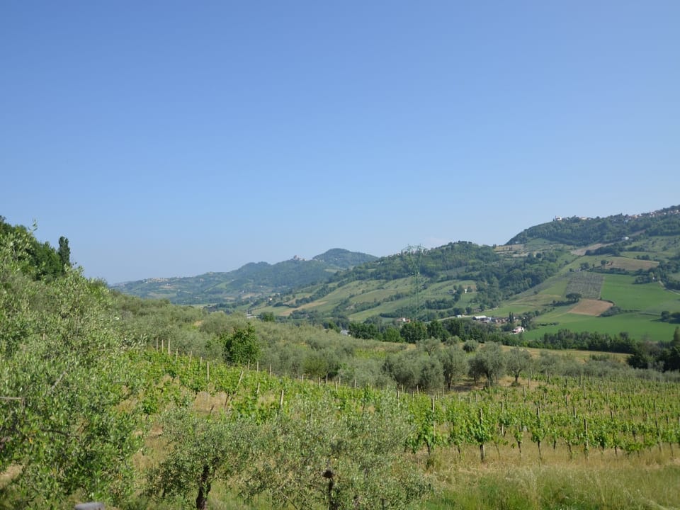 View from Holiday Home [summer]