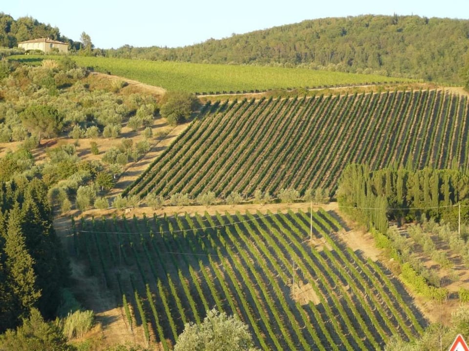 Region [summer] (>5 km)