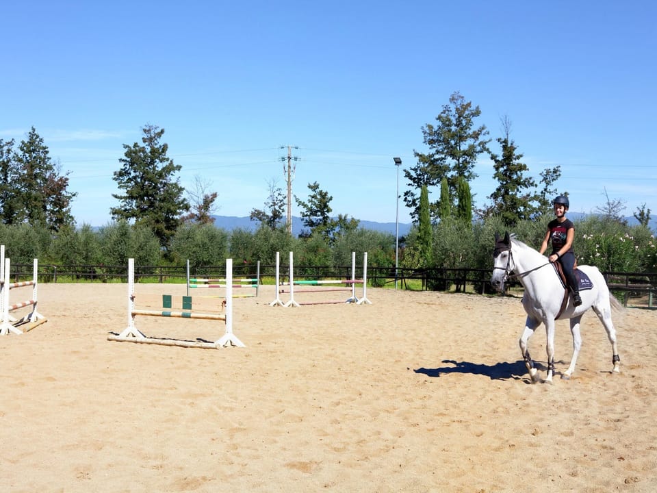 Holiday Home Facilities and Services