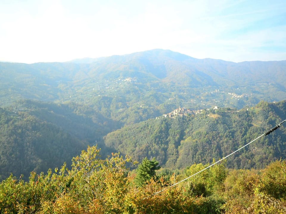 View from Holiday Home [summer]