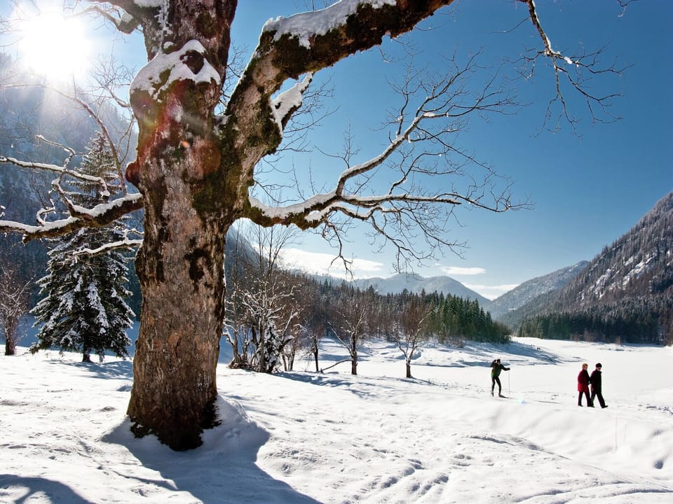 Immediate Surroundings [winter] (<1 km)