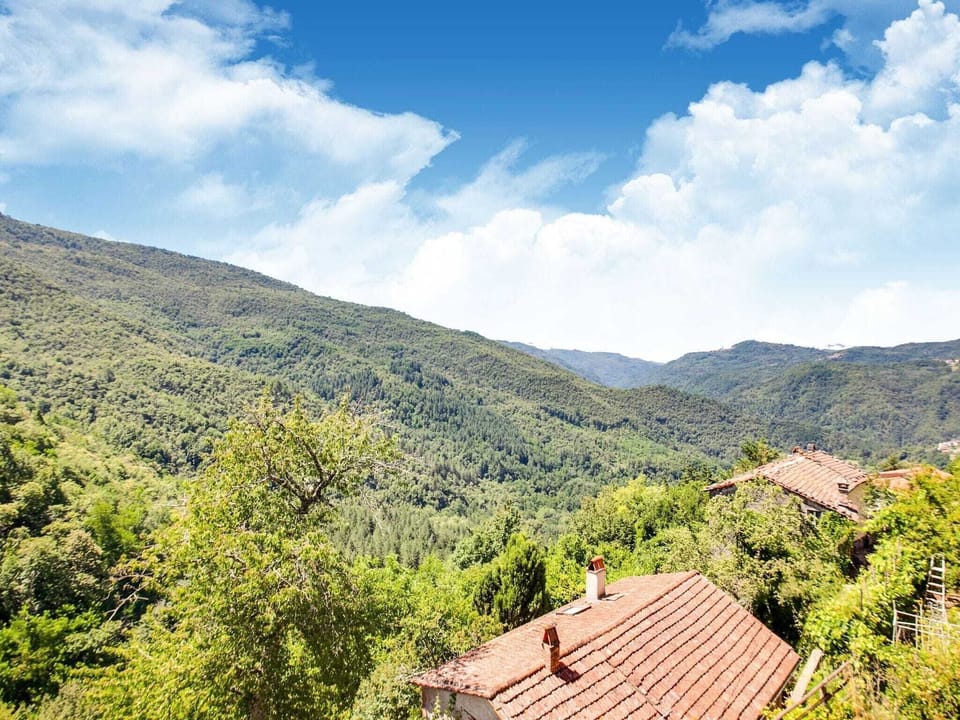 View from Holiday Home [summer]