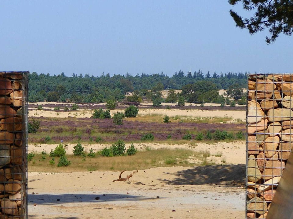 Holiday Park Facilities and Services 