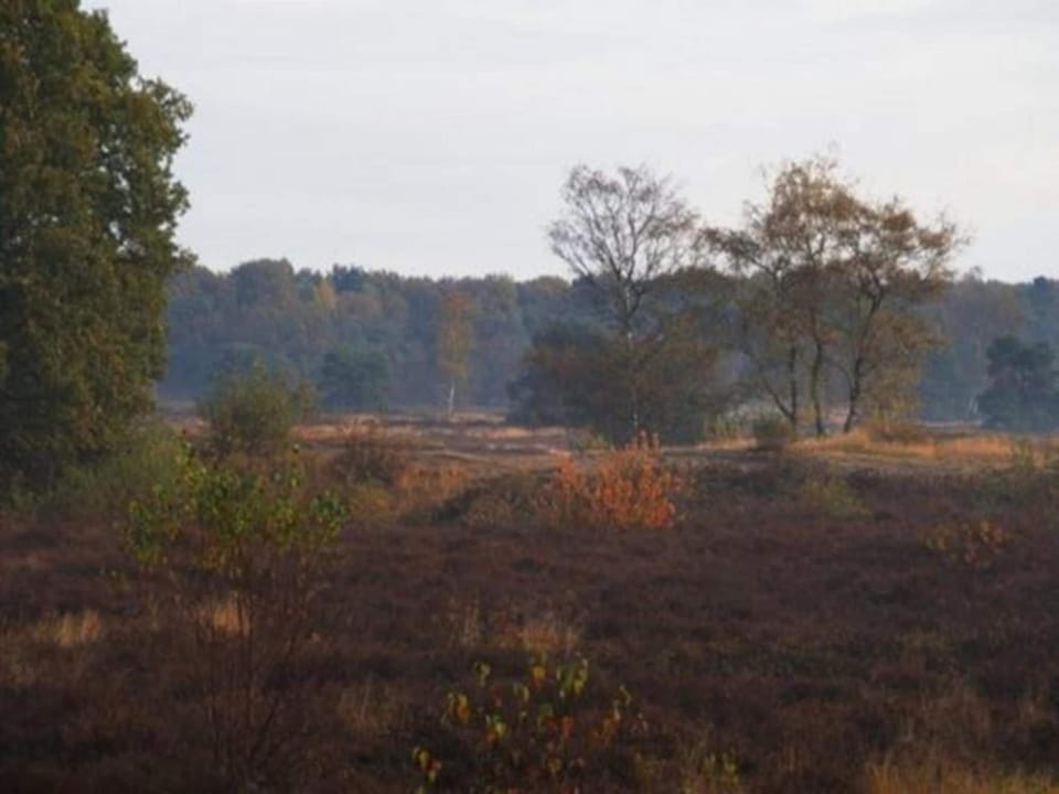 Region [summer] (>5 km)