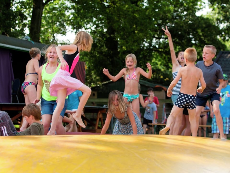 Holiday Park Facilities and Services 