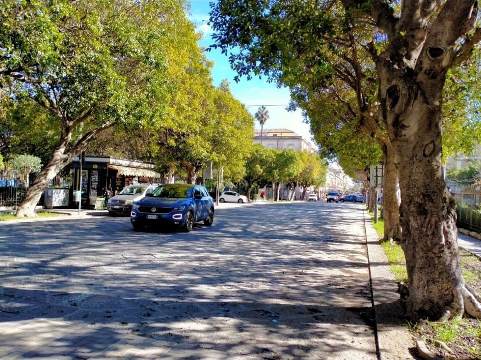 Immediate Surroundings [summer] (<1 km)