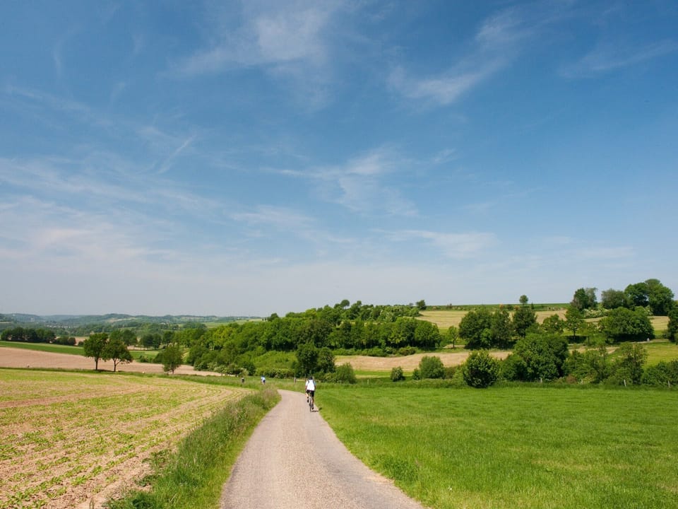 Immediate Surroundings [summer] (<1 km)