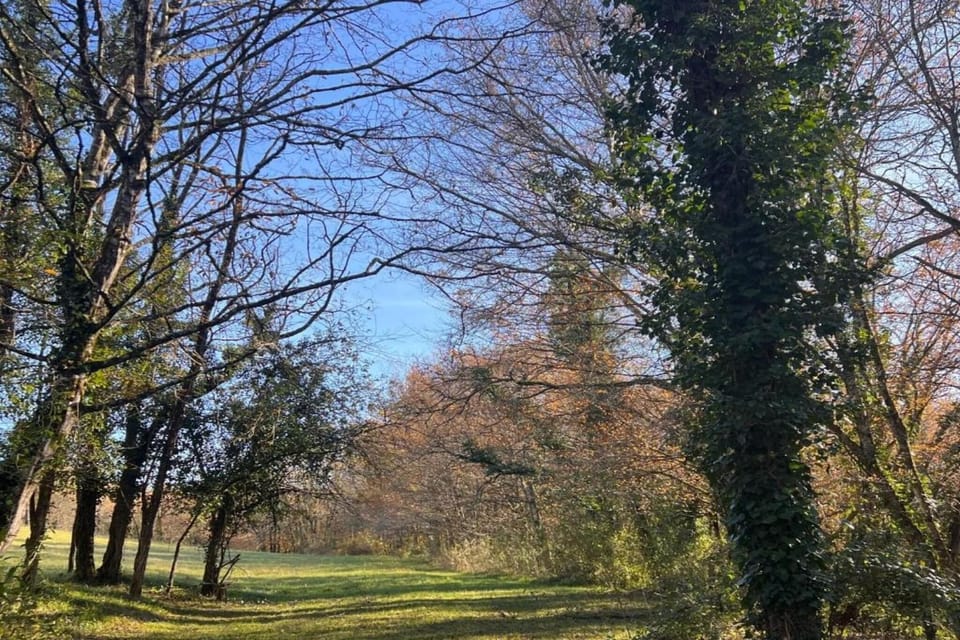 Surroundings [summer] (1-5 km)