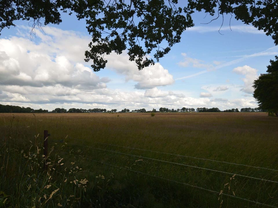View from Holiday Home [summer]