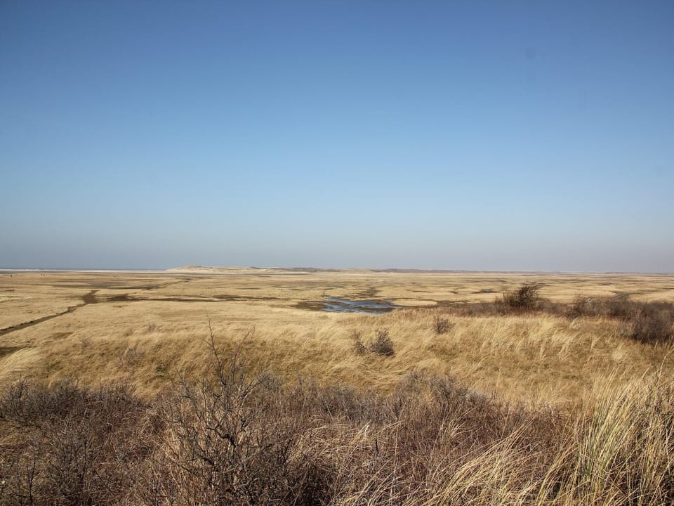 Surroundings [summer] (1-5 km)