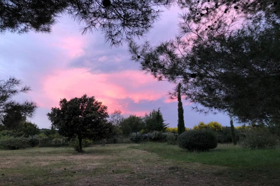 Region [summer] (>5 km)