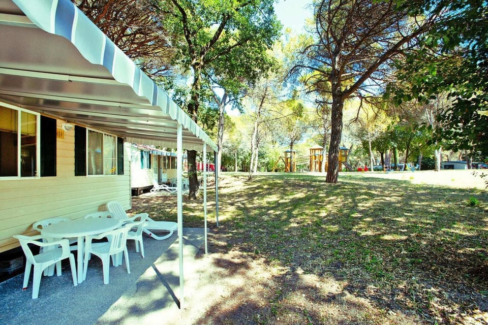 Garden [summer]