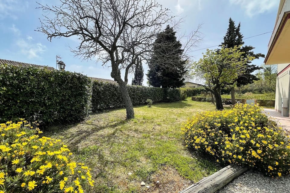 Garden [summer]