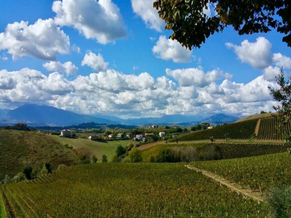 Surroundings [summer] (1-5 km)