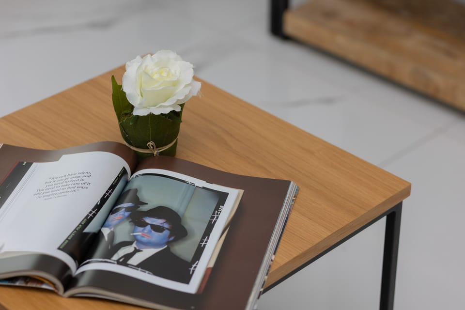 A close-up of a coffee table with a flowerpot and an open magazine.
