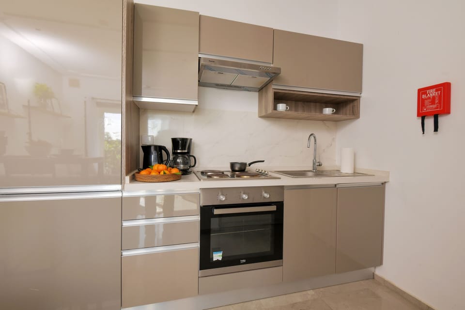 Fridge, oven, stovetop, electric kettle