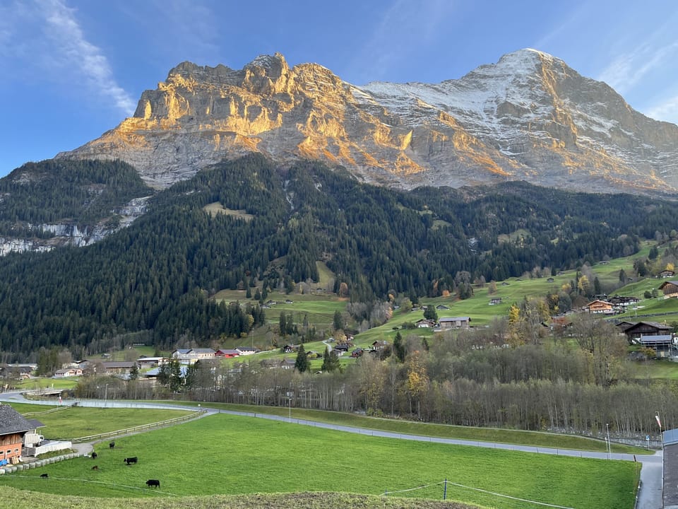 Mountain view in October