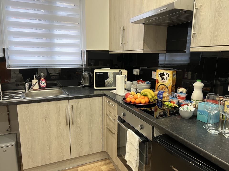 Fridge, oven, freezer, paper towels