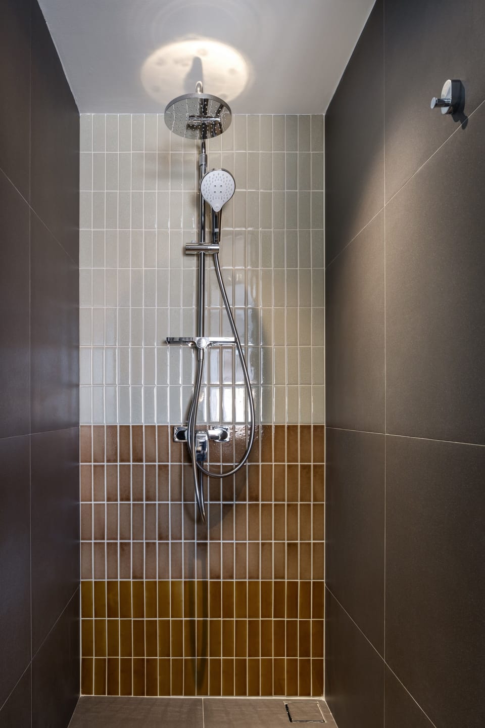 Shower, hydromassage showerhead, free toiletries, bidet