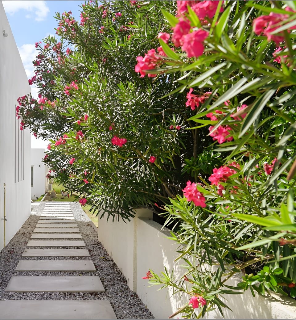 Walkway to the apartment.