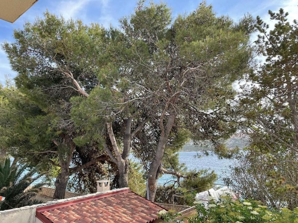 Studio, 1 Bedroom, Accessible, Smoking | View from property