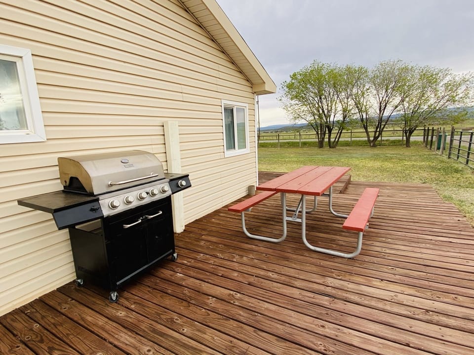 Outdoor picnic table with BBQ grill