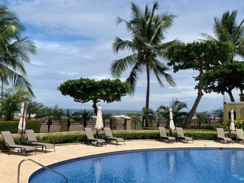 pool with umbrellas and loungers