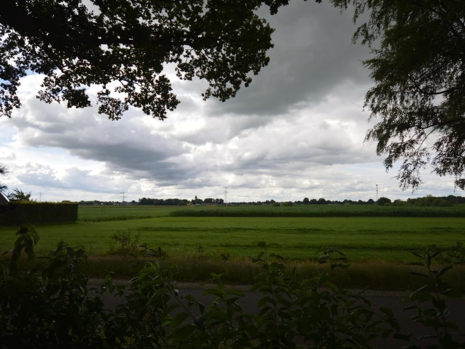 House | View from property