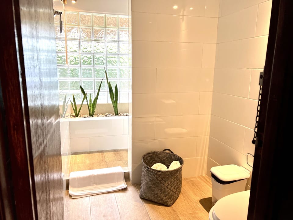 Looking into Shower