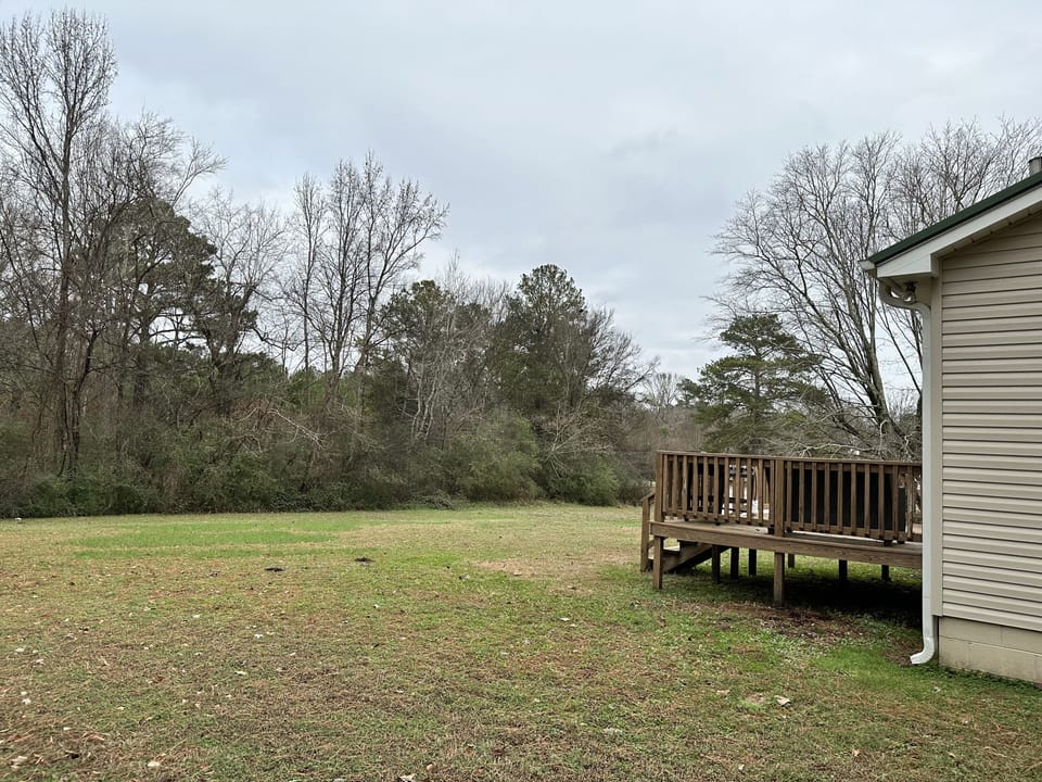 Large backyard for fun times! 