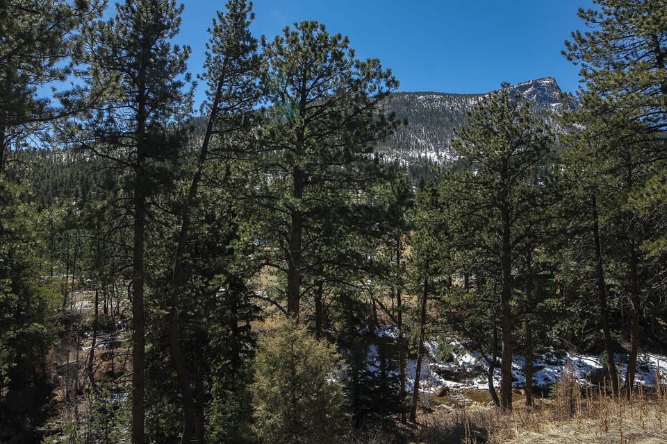 View of Deer Mountain from Patio