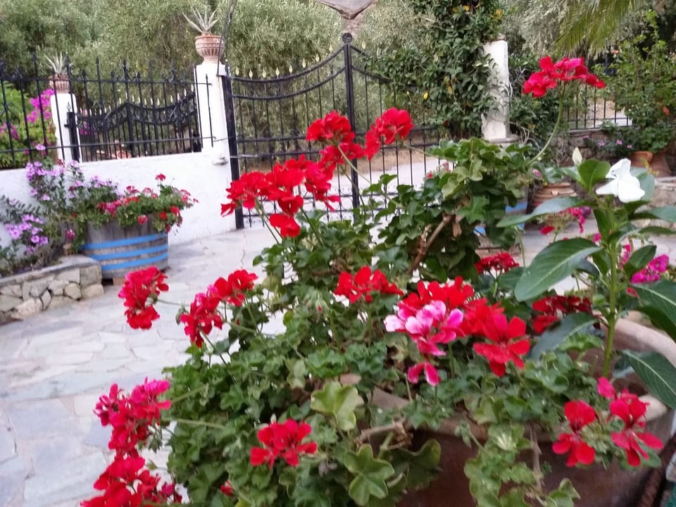 Image 15