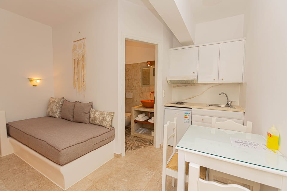 Comfort Triple Room | Private kitchen | Stovetop, cookware/dishes/utensils, cleaning supplies