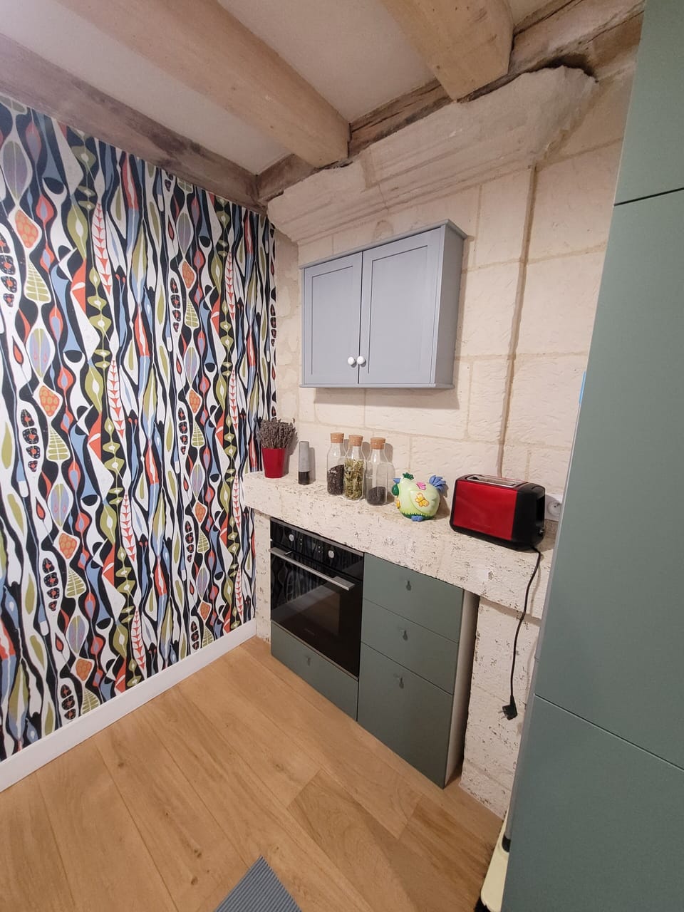 Family Apartment | Private kitchen | Shared fridge, microwave, oven, stovetop
