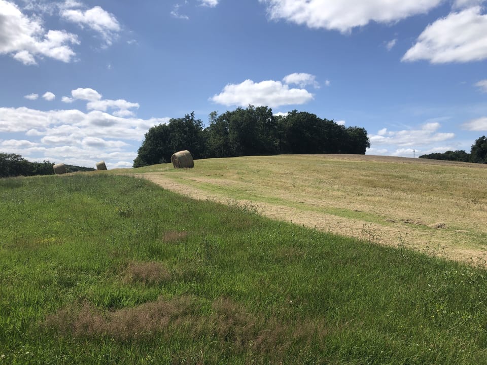 29 Acres/14 hectares to explore