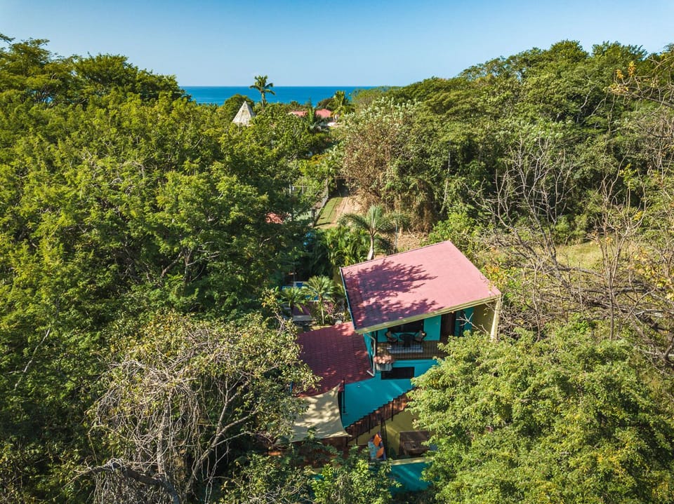 Bird's eye view of Villa Vida.